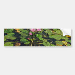 Auckland Domain Winter Garden flowers Bumper Stickers