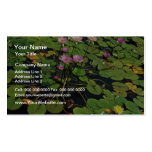 Auckland Domain Winter Garden flowers Business Card Template