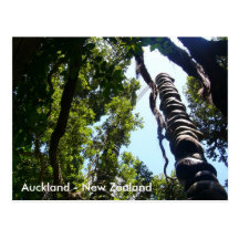 Auckland Post card