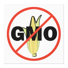 Aucun GMO Toile Tendue