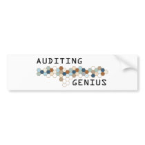 Auditing Genius Bumper Sticker