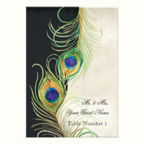 Audrey Jeanne Peacock Feather Black Damask Invite invitations