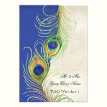 Audrey Jeanne Peacock Feather Blue Damask Invite invitations