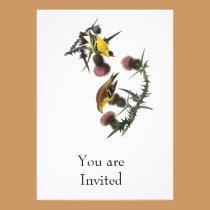 Audubon American Goldfinch invitations