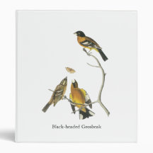 Audubon Black-headed Grosbeak Vinyl Binders
