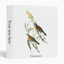 Audubon Dickcissel Vinyl Binders