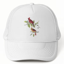 Audubon Northern Cardinal
