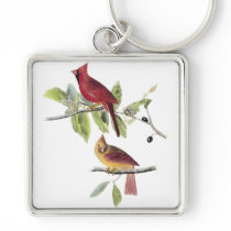 Audubon Northern Cardinal