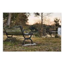 Audubon Park Sunset Photo