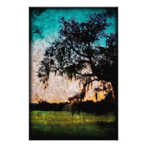 Audubon Sunset Textures Photograph