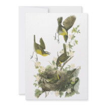 Audubon Yellow-breasted Chat Custom Invitations