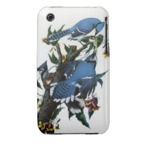Audubon's Blue Jays Case Iphone 3 Cases