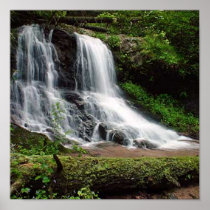 Auger Fork Falls Posters