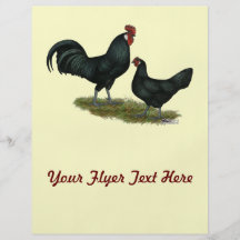 Augsberger Chickens Full Color Flyer
