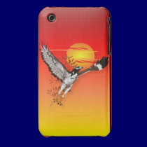 Augur meeting the morning sun. Case casemate cases