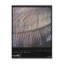 august 2010 calendar