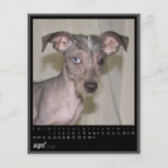 august 2012 calendar full color flyer