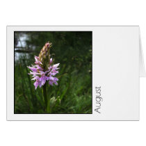 August Greeting Card
