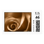 August Rose Wedding Postage Stamp
