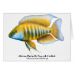 Aulonocara jacobfreibergi Peacock Cichlid Card