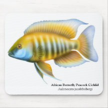 Aulonocara jacobfreibergi Peacock Cichlid Mousepad