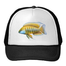 Aulonocara jacobfreibergi Trucker Hat