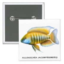 Aulonocara jacobfriebergi Cichlid Pin
