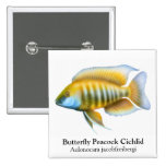 Aulonocara jacobfriebergi Cichlid Pin