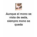 Aunque el mono se vista de seda... t-shirts