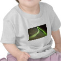 Aurora Australis from International Space Station t-shirts