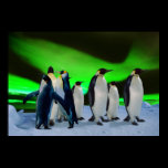 Aurora borealis and penguins posters