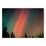 Aurora Borealis, Northern Lights, Alaska cards