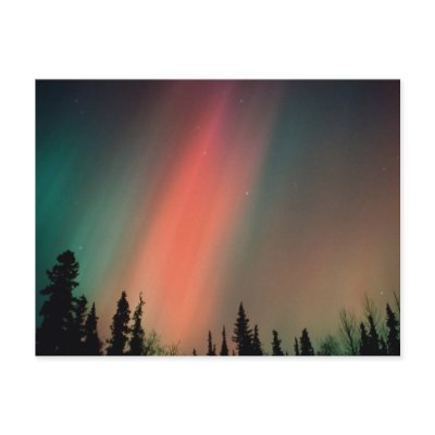 Aurora Borealis, Northern Lights, Alaska Post Card by naturetees