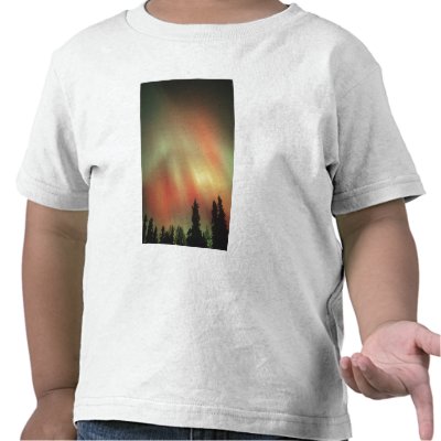Aurora Borealis, Northern Lights, Fairbanks by danitadelimont