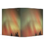 Aurora Borealis, Northern Lights, Fairbanks