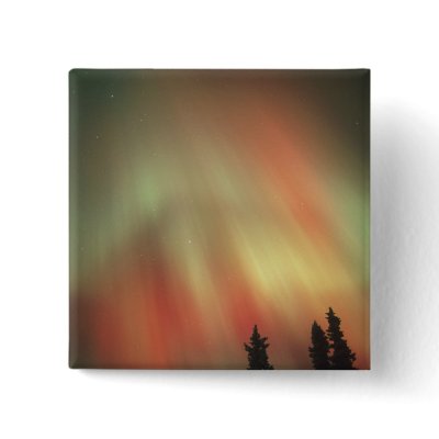 Aurora Borealis, Northern Lights, Fairbanks by danitadelimont