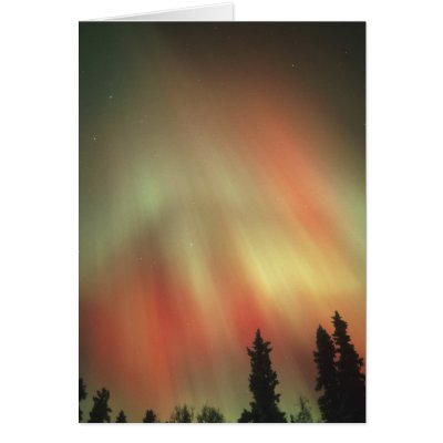 Aurora Borealis, Northern Lights, Fairbanks by danitadelimont