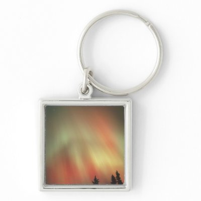 Aurora Borealis, Northern Lights, Fairbanks by danitadelimont