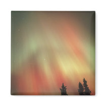 Aurora Borealis, Northern Lights, Fairbanks