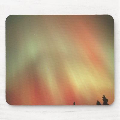 Aurora Borealis, Northern Lights, Fairbanks by danitadelimont