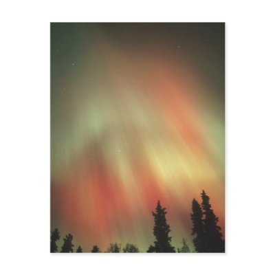 Aurora Borealis, Northern Lights, Fairbanks by danitadelimont
