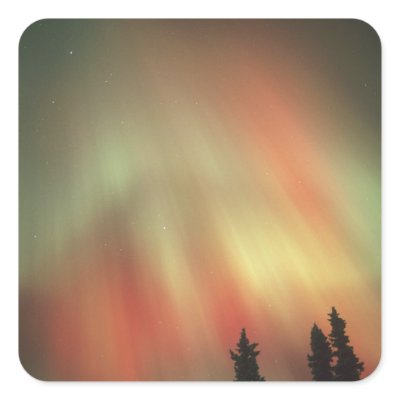 Aurora Borealis, Northern Lights, Fairbanks by danitadelimont
