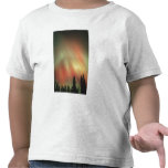 Aurora Borealis, Northern Lights, Fairbanks t-shirts