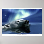 "AURORA DREAMING" Polar Bear Poster Print