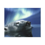 "AURORA DREAMING" Polar Bear Print Canvas Print