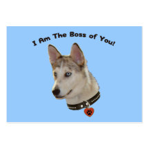Ausky Dog Boss of You Business Cards