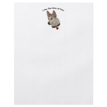 Ausky Dog Boss of You Personalized Flyer