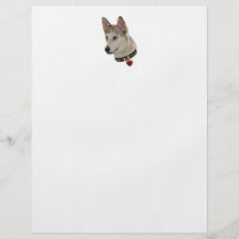 Ausky Dog Pawprint Heart Flyer Design