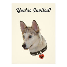 Ausky Dog Pawprint Heart Invitations