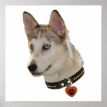 Ausky Dog Pawprint Heart